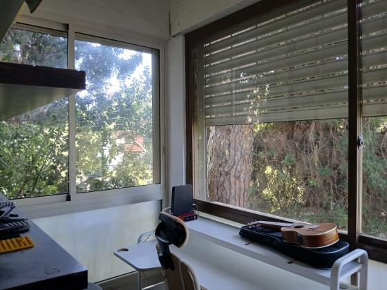 שדרות הצבי, כרמל ותיק