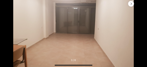 גרינשטיין 13, קרול