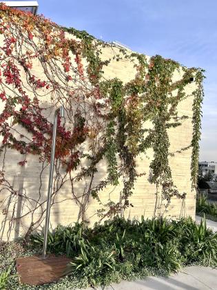 אחד העם 13, נחלת בנימין