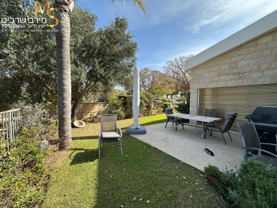 לבון פנחס, דניה