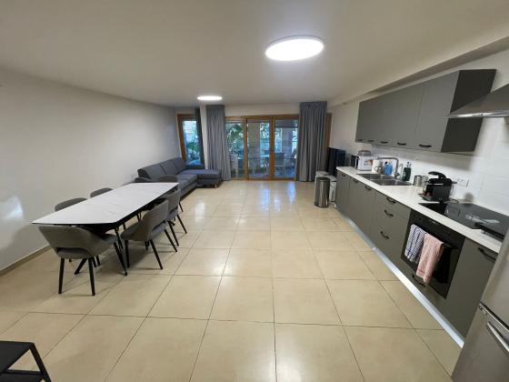 דוד המלך 14, טלביה