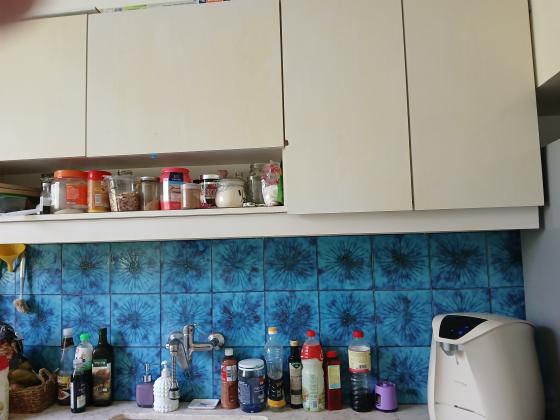 שדרות הצבי, כרמל ותיק