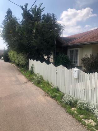 בשכונת הפרחים