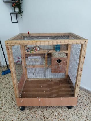 כלוב גדול יצור עצמי