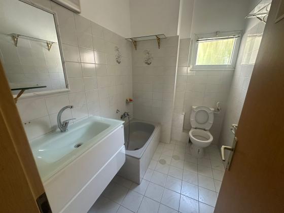 אשר ברש 32, הירוקה המרכזית