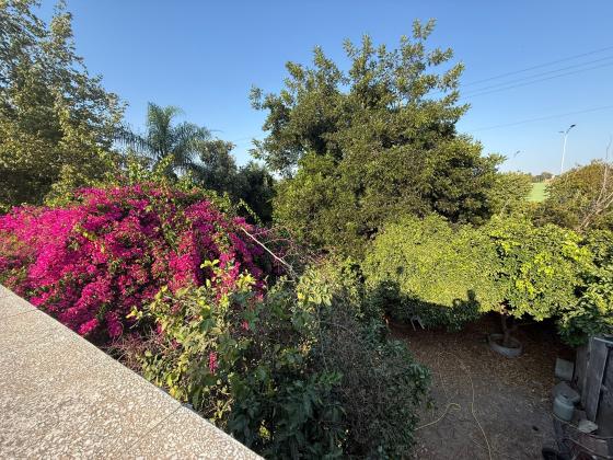 בשכונת הרצליה פיתוח