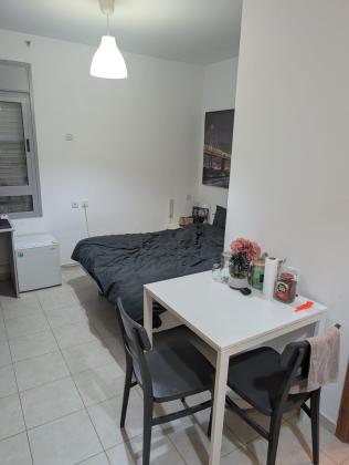 אלכסנדר ינאי 17, שכונה ד