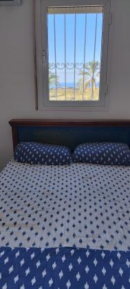 אירוס הארגמן 37, גבעת האירוסים