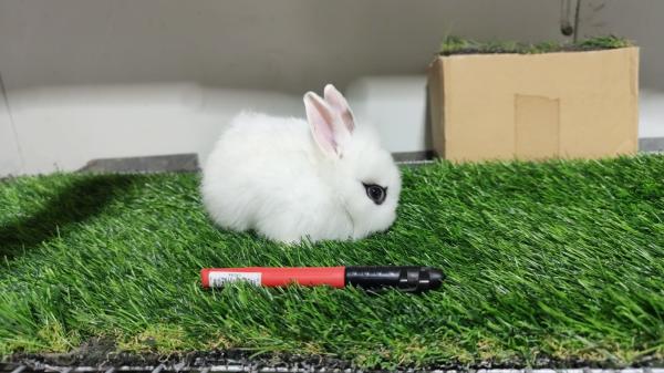 מקום הכי מושלם לפגוש ,ולהכיר