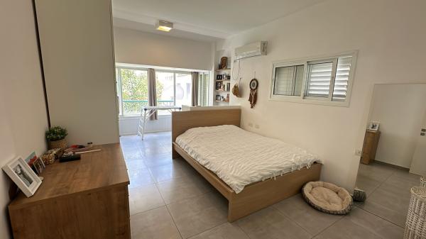 דניאל פריש 4, שרונה