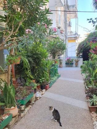 הלל 38, הדר עליון