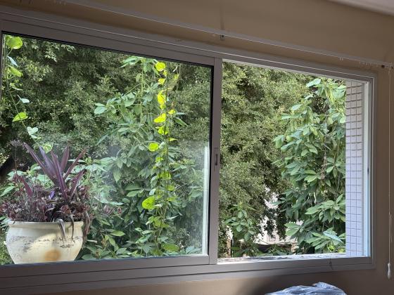 רוטשילד 31, מרכז העיר דרום