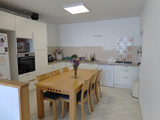 בני בנימין 23, הירוקה המרכזית