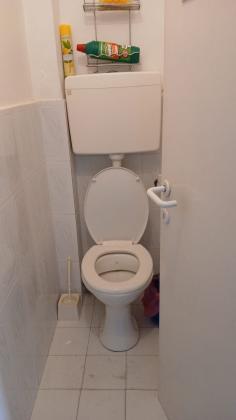 דוד אלעזר 79, ח-500