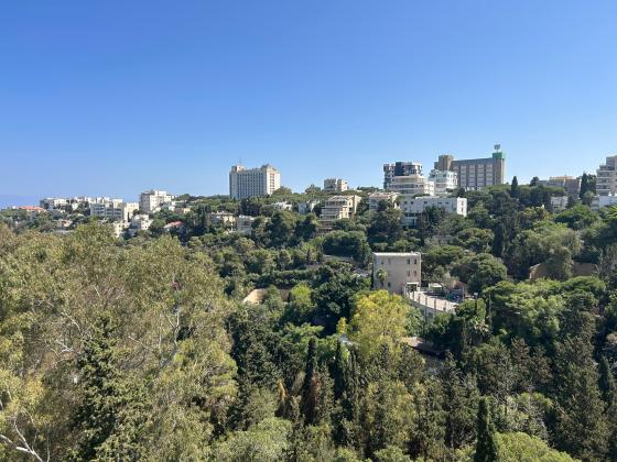 שושנת הכרמל 10, כרמל מערבי