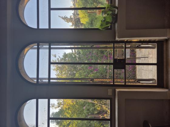 לב העברי 2, טלביה