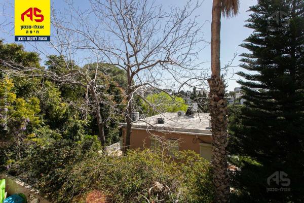 קדימה, כרמל ותיק