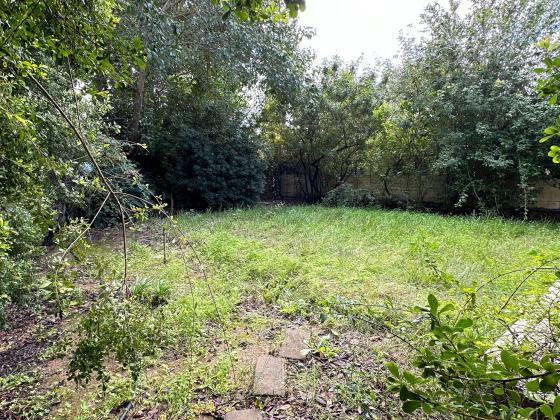 בשכונת תל ברוך