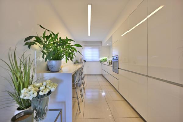 התורמוס 1, קרית ראשון