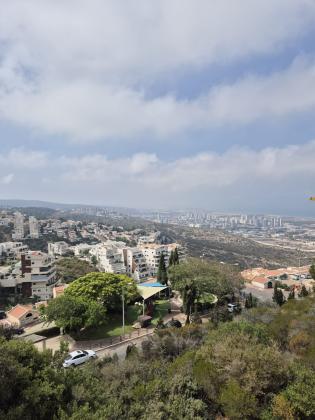 תל מאנה 54, אחוזה