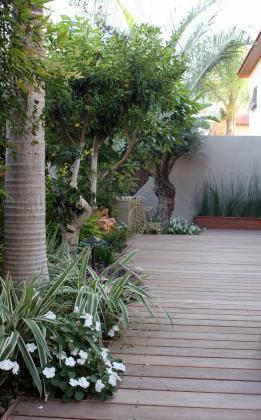 ארבל 21, נוה הלל