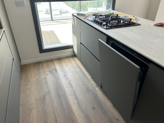 בשכונת הצפון החדש סביבת כיכר המדינה