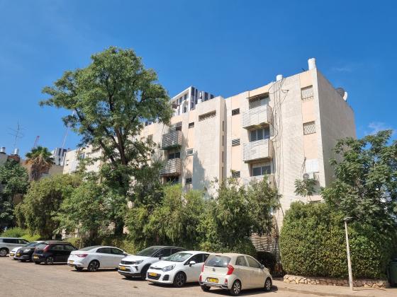 יאנוש קורציק, קיראון