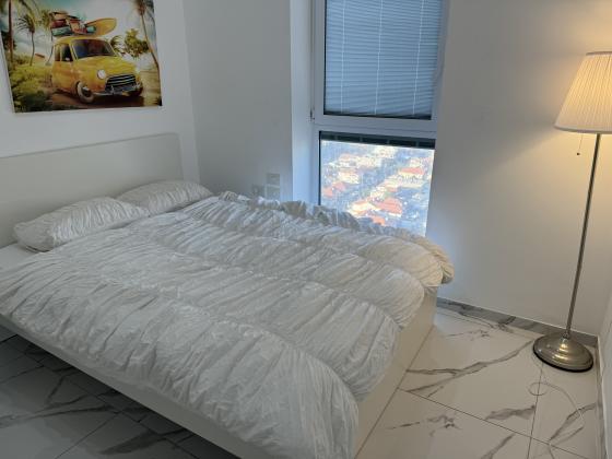 רחבעם זאבי 11, 'גבעת אולגה א' ו-ב'