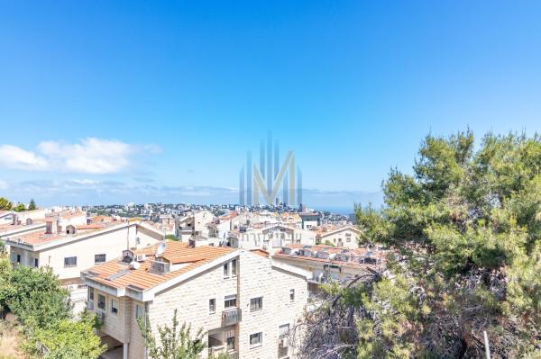 היקינתון, רמת אלמוגי