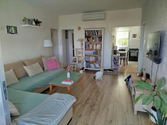 אורן 12, רוממה החדשה