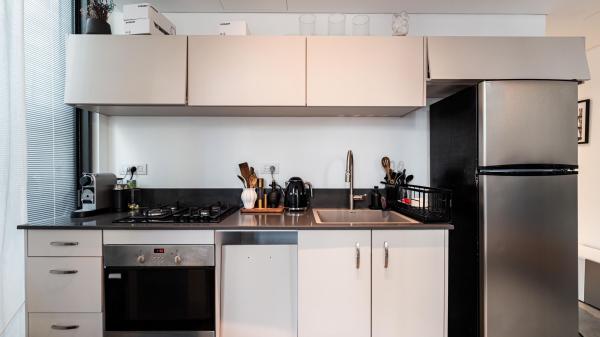 ברנדייס 4, הצפון החדש החלק הצפוני