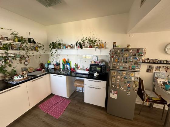 שדרות הנשיא, כרמל צפוני