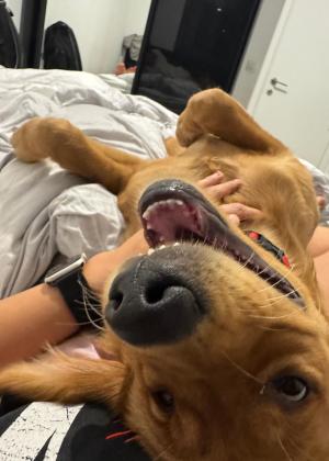 אך ורק למשפחה טובה ועל רמה