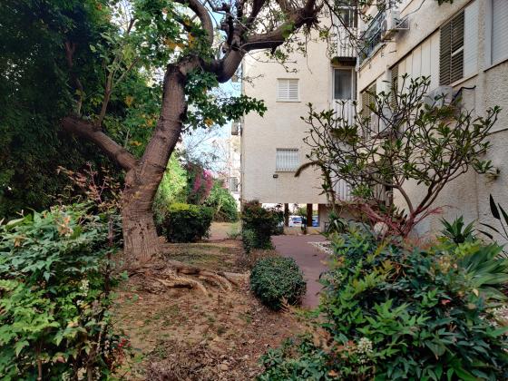 בני בנימין 23, הירוקה המרכזית