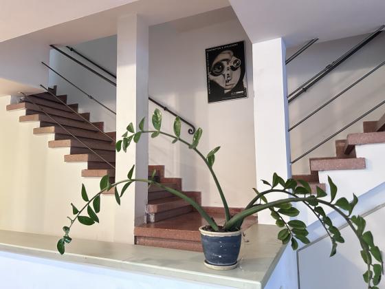 נחל קנה 15, מוצקין;דובדבן הכפר;כיסופים