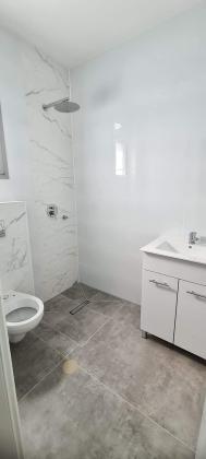 הרב אברהם קוק, השחר