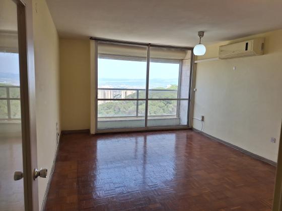 בירם 3, סביוני דניה