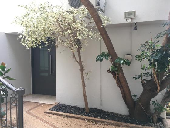 אסתר רבין 45, דניה