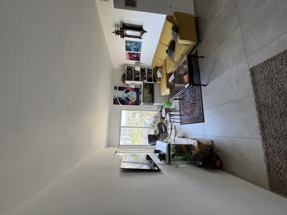 בירם, סביוני דניה