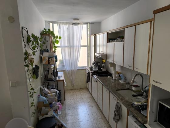 טיומקין 1, הראשונים