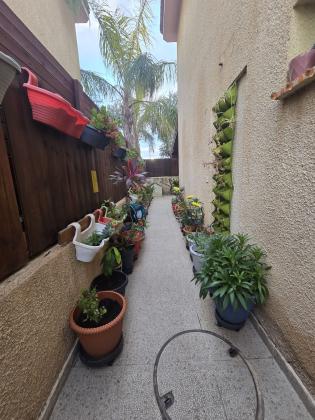 שאול המלך, שפירא