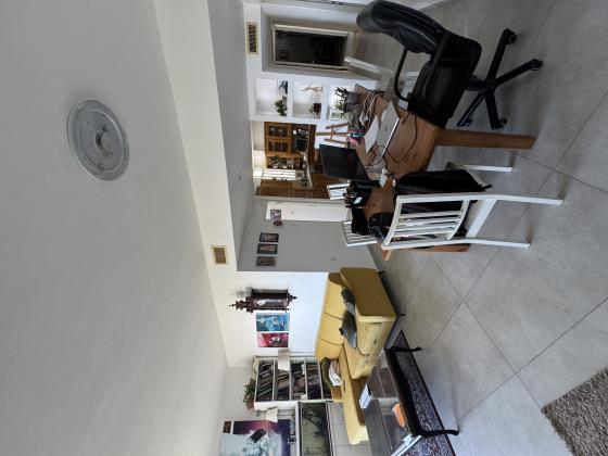 בירם, סביוני דניה