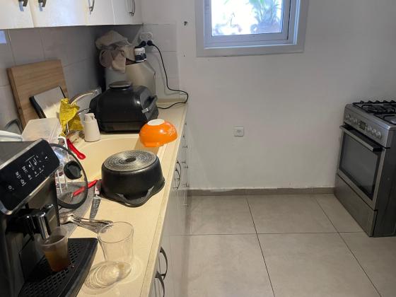 הדגל העברי 10, כצנלסון