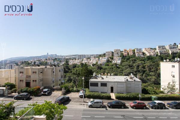 שדרות קיש, מרכז הכרמל