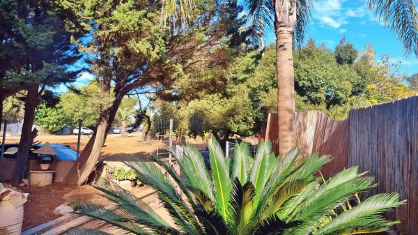 בשכונת מרכז המושבה