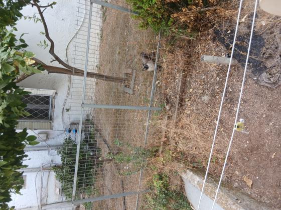 הלל 19, הדר עליון