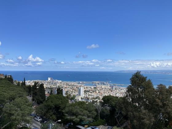 יפה נוף 116, מרכז הכרמל