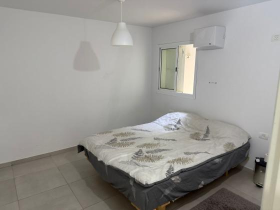 אבני חן 44, הכרמל