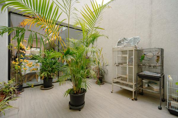 מכורה 9, מרכז כרכור