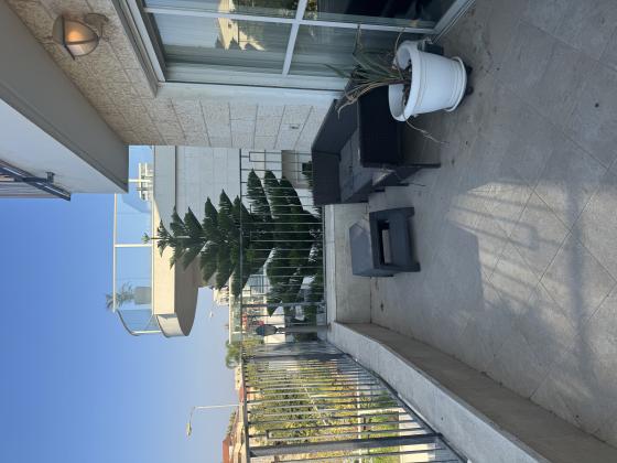 סיתוונית, רמת אלמוגי